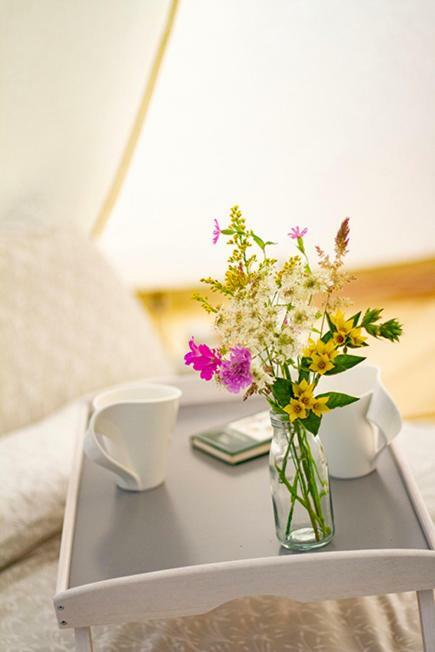 Готель Lloyds Meadow Glamping Честер Екстер'єр фото